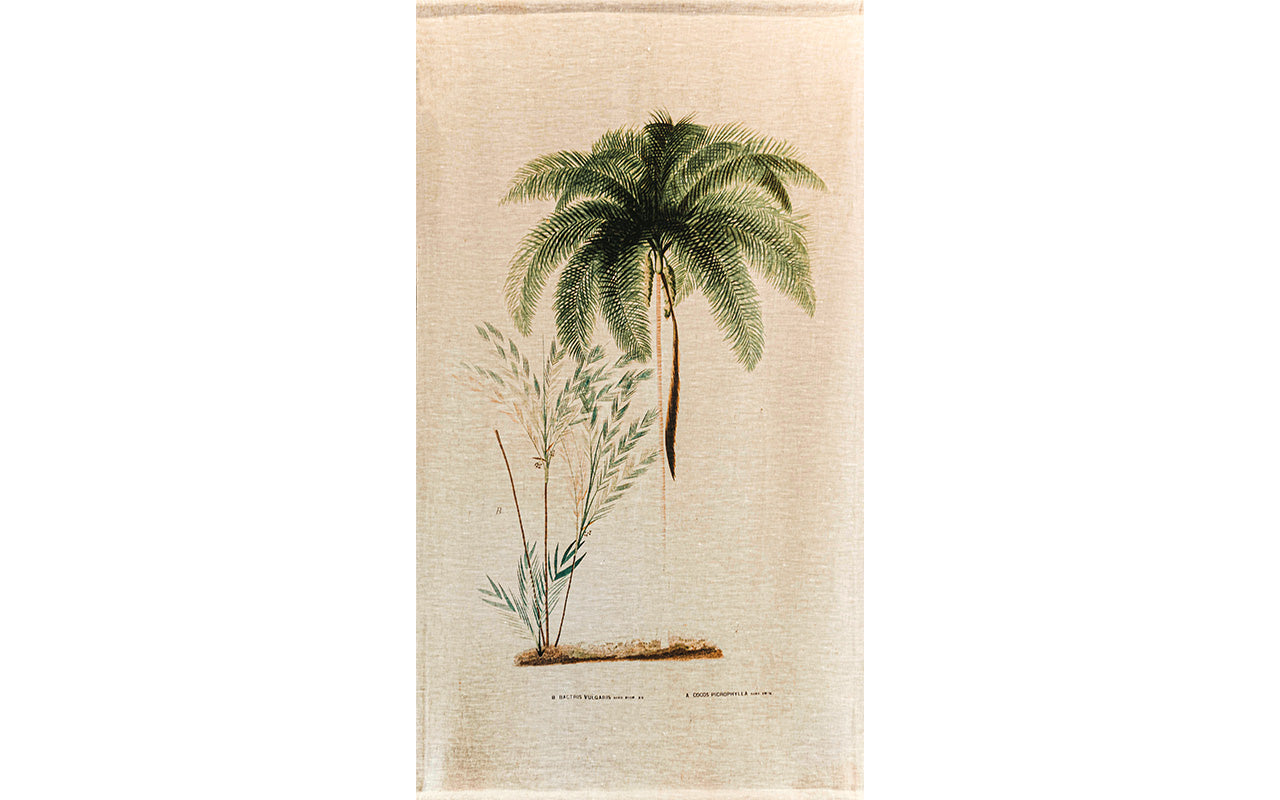 Botanical Palm & Fern Wall Hanging
